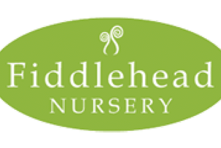 Fiddlehead logo