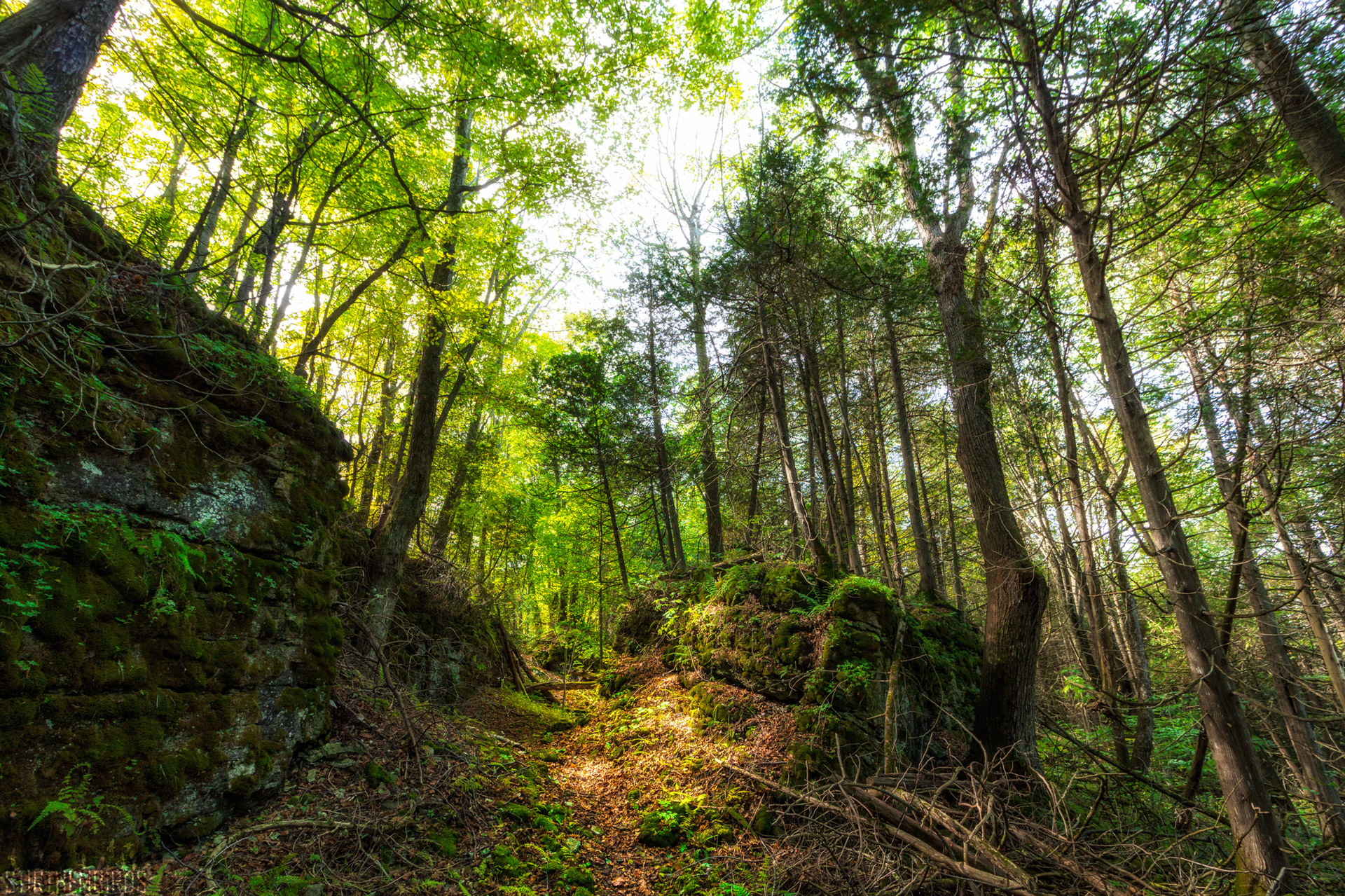 A trail passes between large rocks in a wooded area.