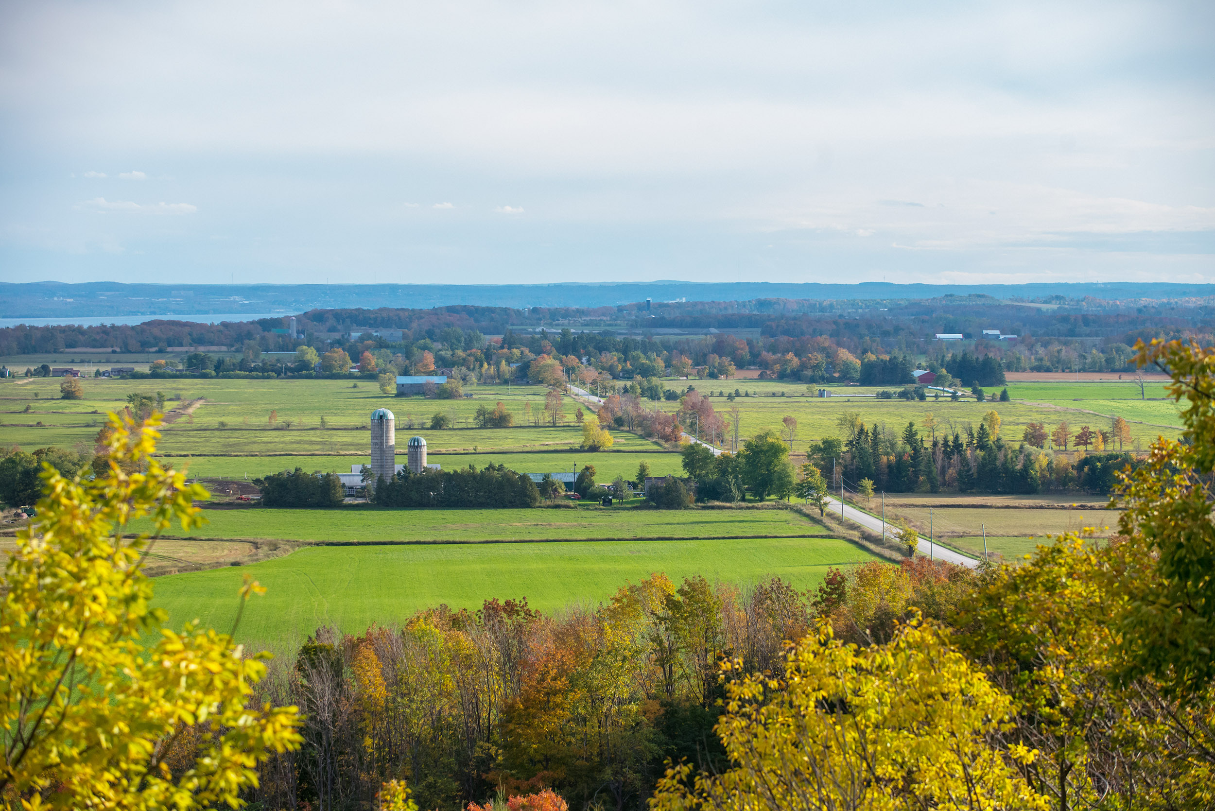 Wide view of green farm fields with scattered trees and silos under a pale sky.