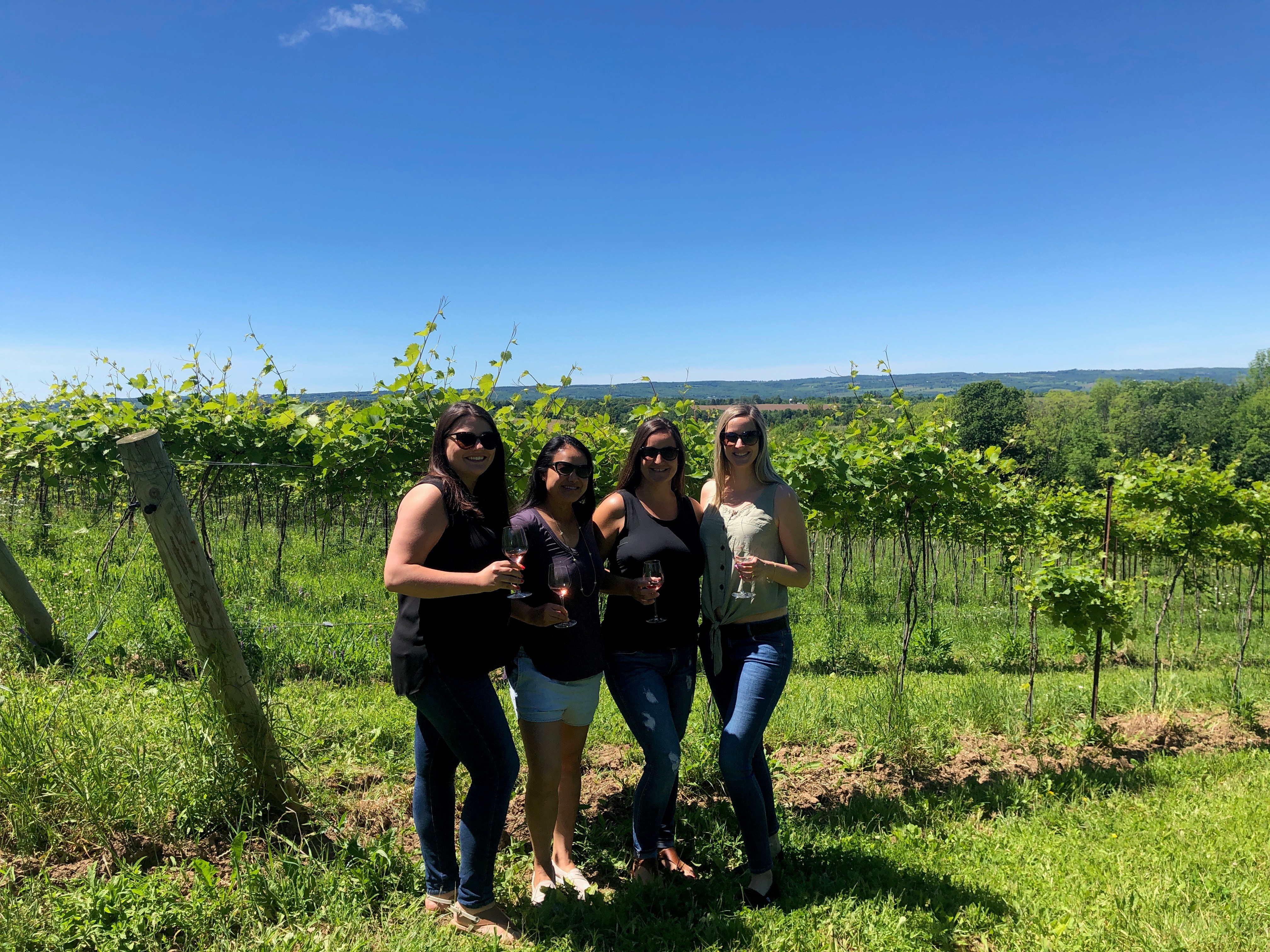 Four people pose in a vineyard holding drinks.