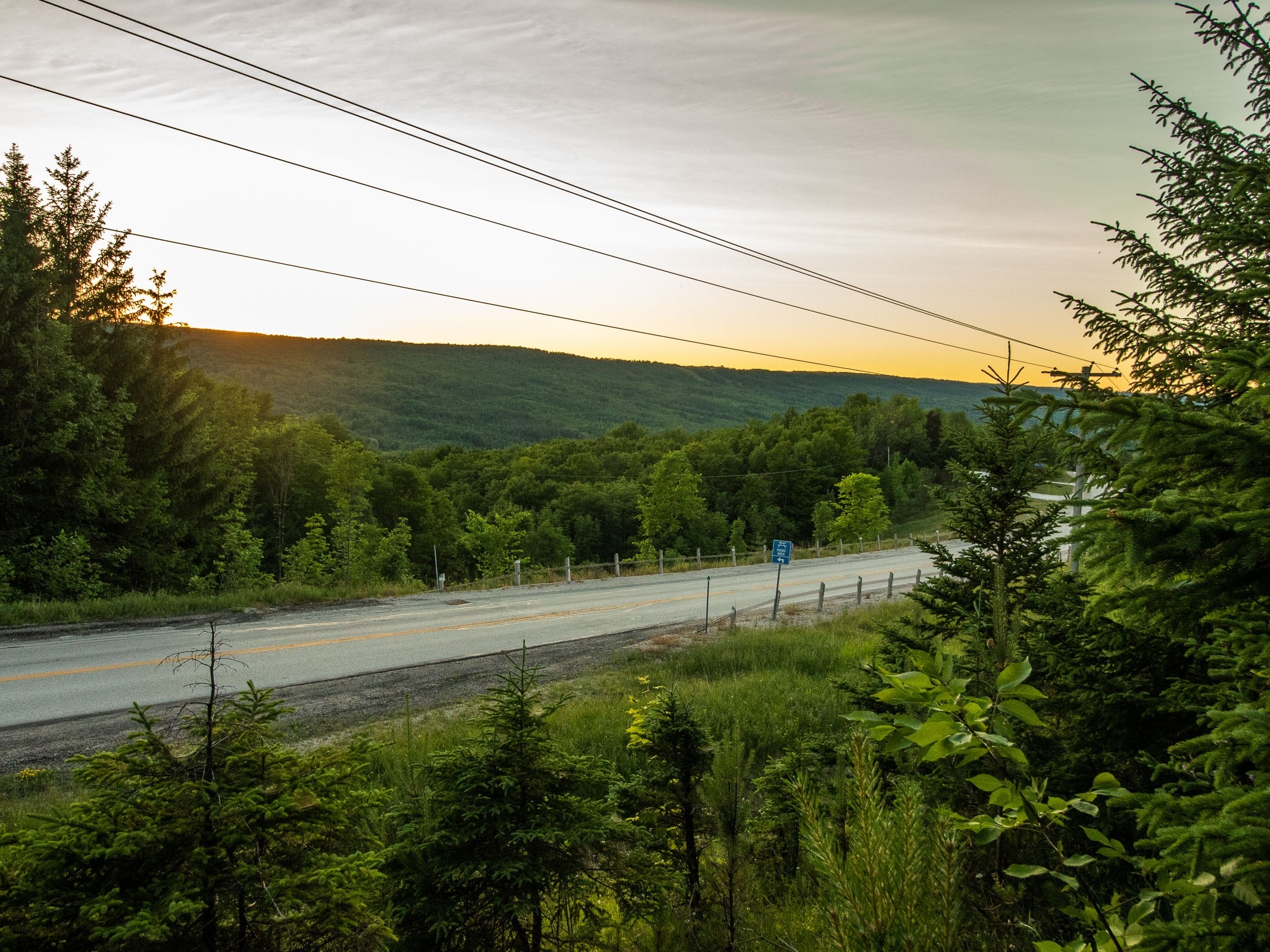 Kimberley Forest from Grey Road 13