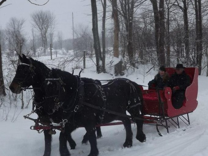 Sleigh ride