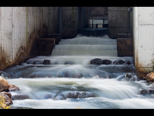 Fish ladder