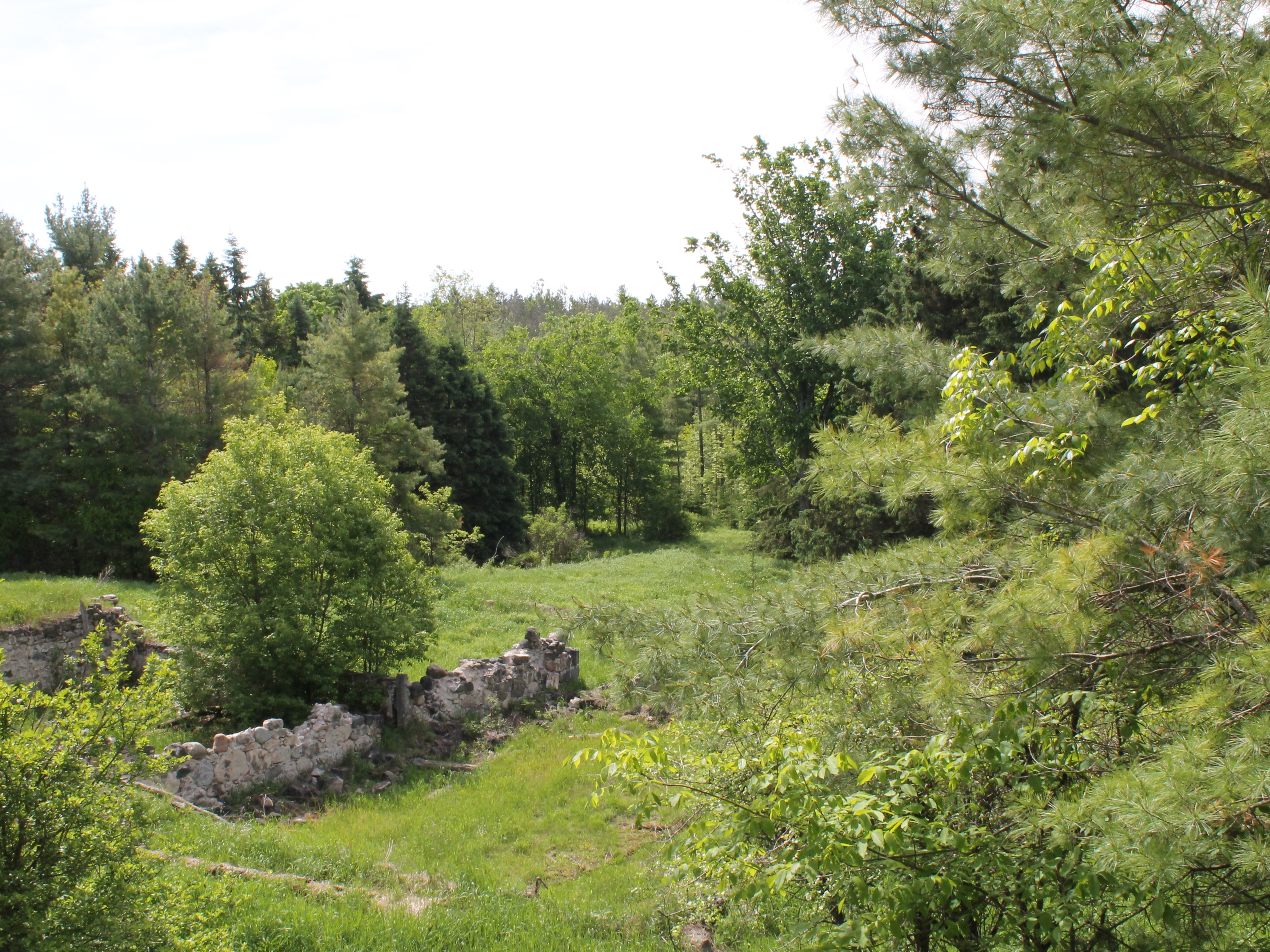 A beautiful property, east of the Town of Chesley