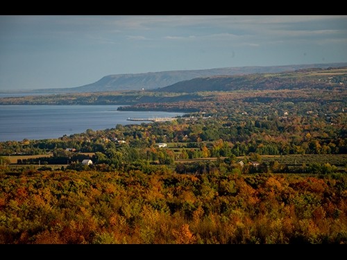 Fall colours from lookout