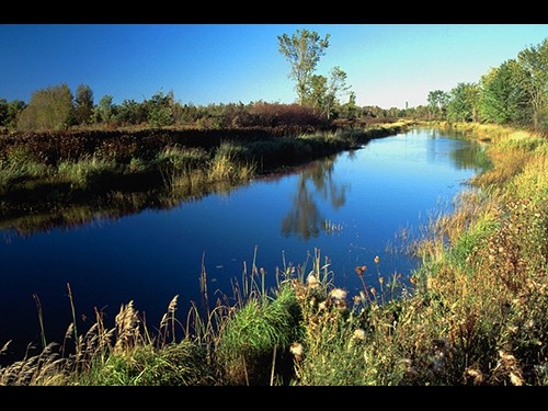 Saugeen River calm