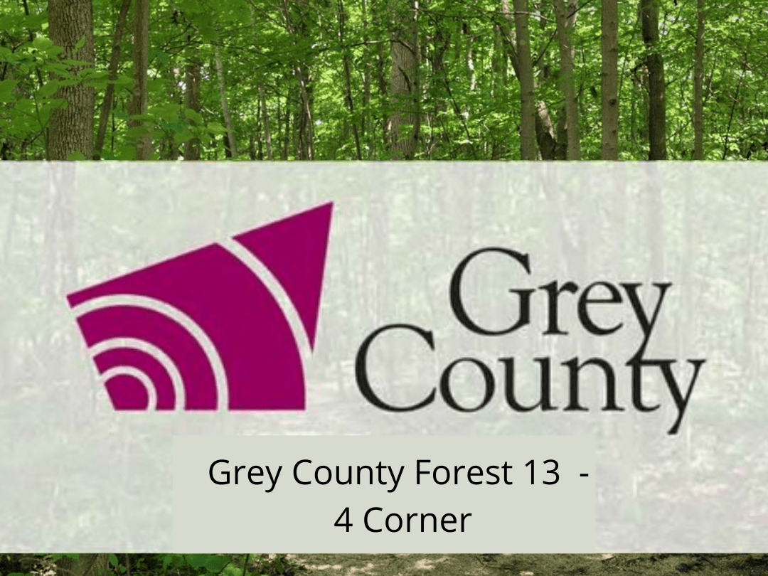 Grey County Forest 13 - 4 Corner