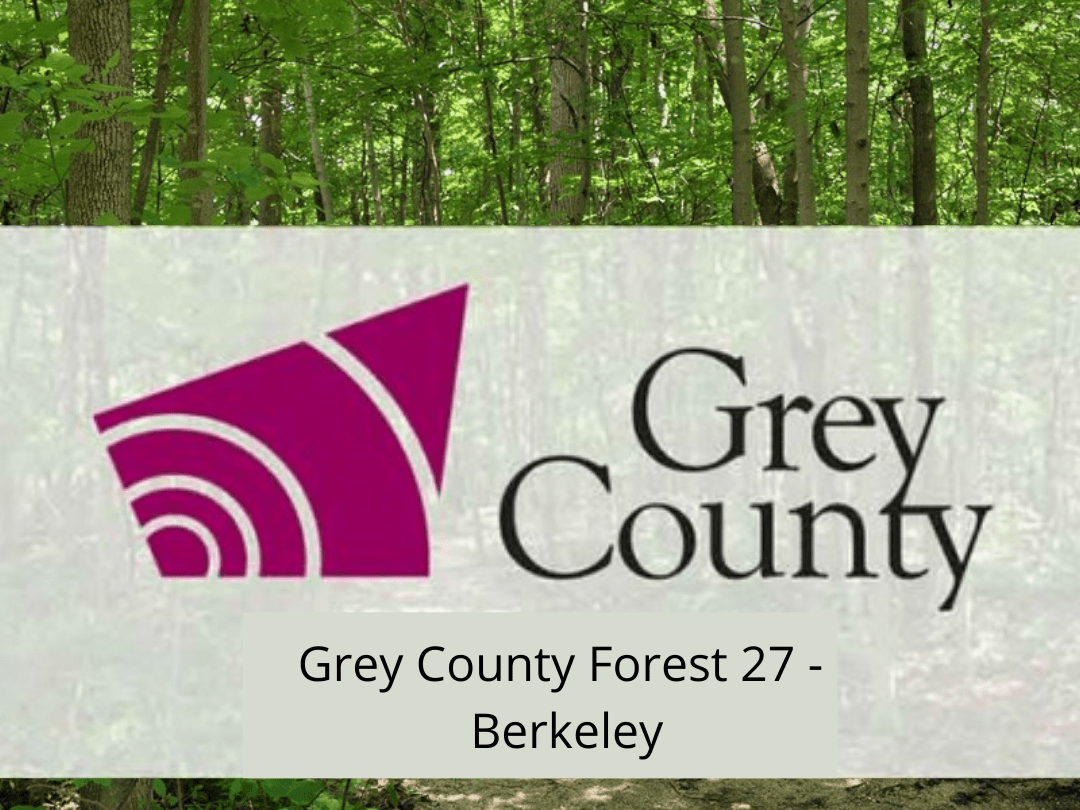 Grey County Forest 27 - Berkeley