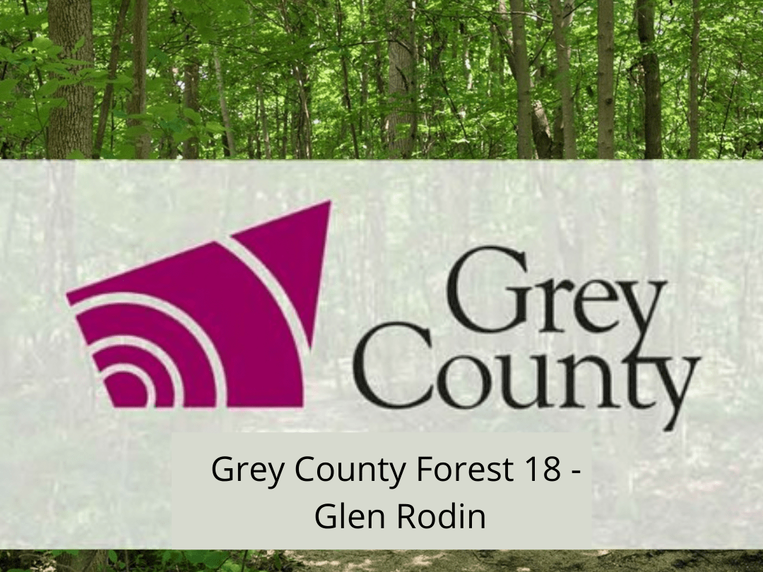 Grey County Forest 18 - Glen Rodin