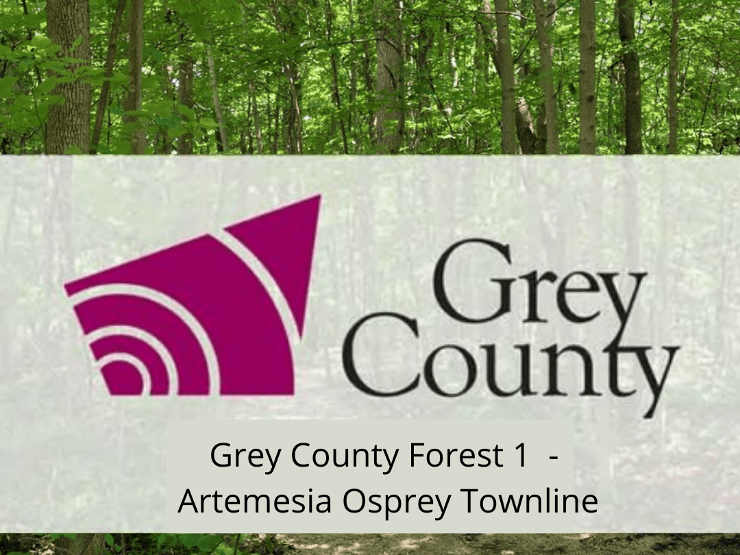 Grey County Forest 1 - Artemesia Osprey Townline