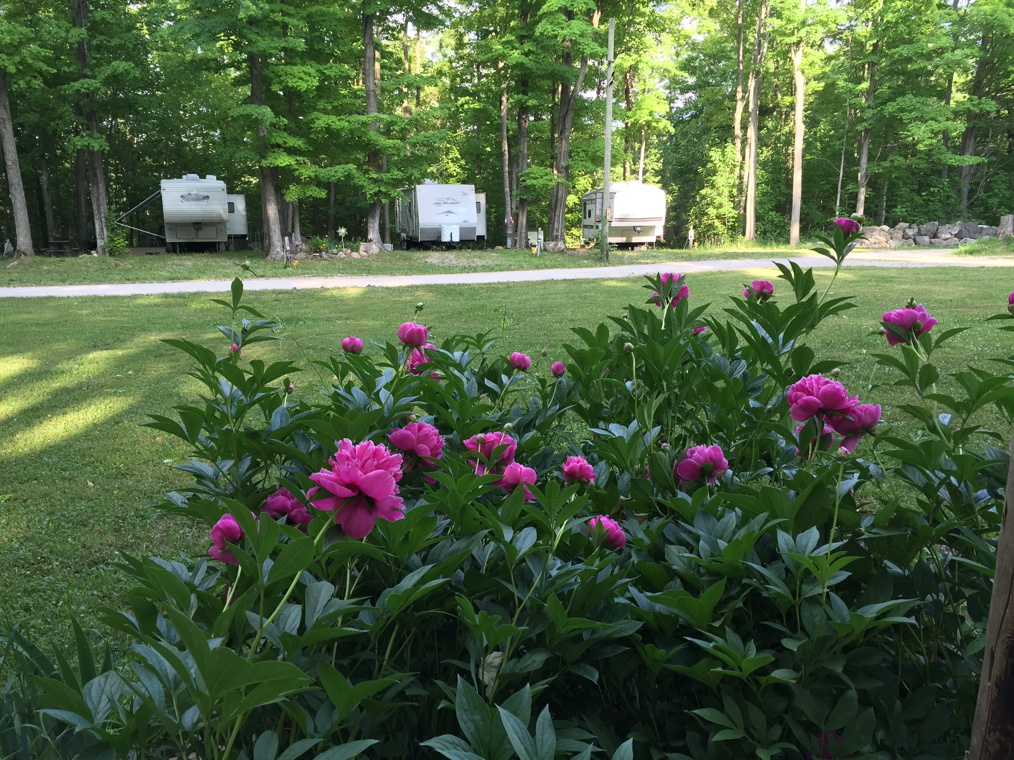 CAMPGROUND