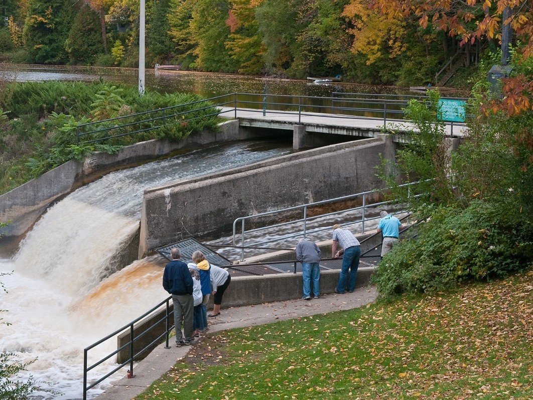 Owen Sound mill dam and fish ladder