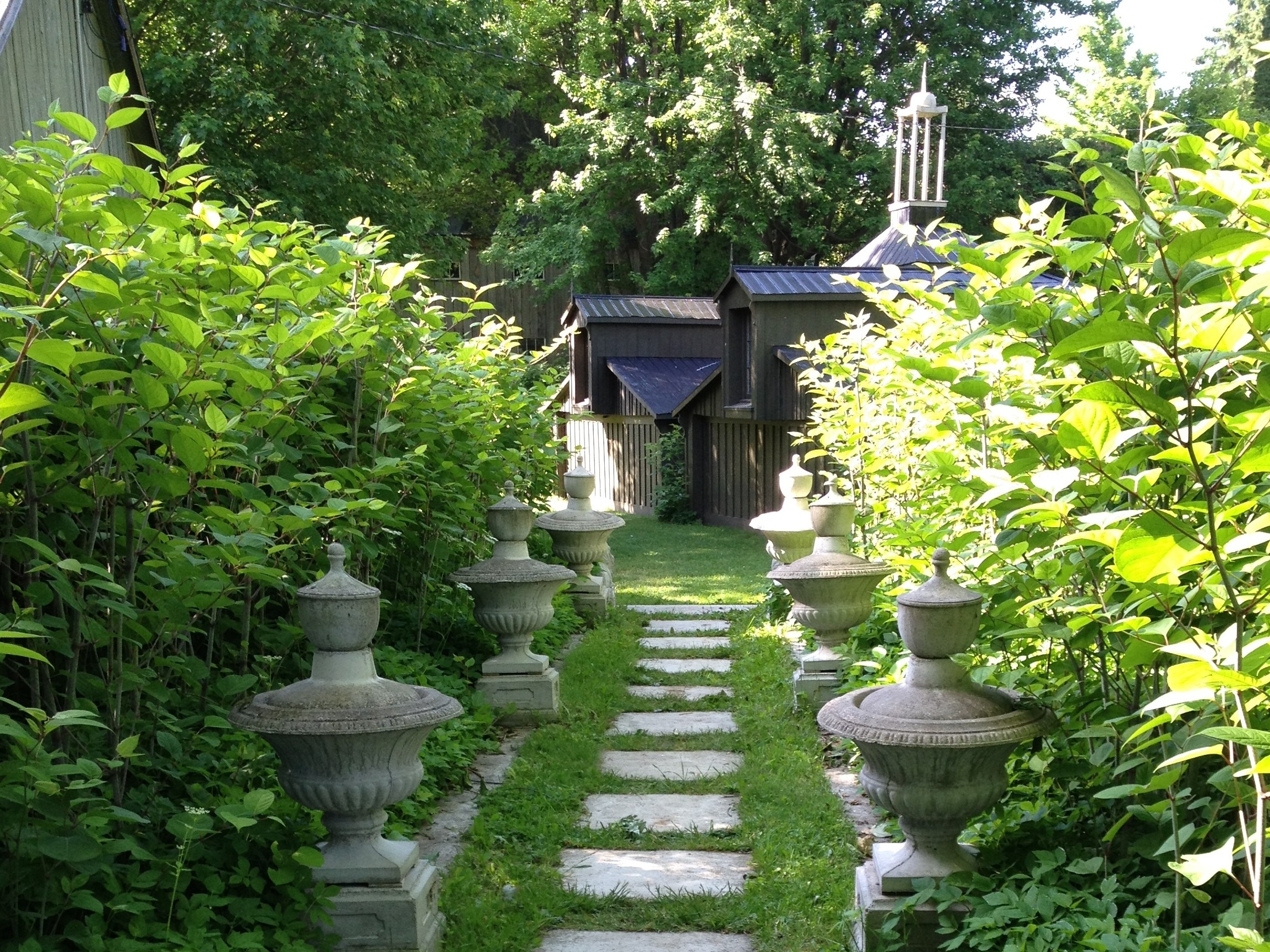 a garden path at Morland Place