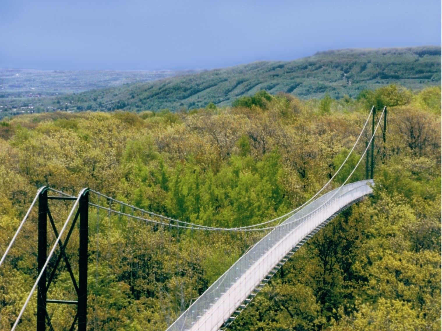 Iconic 420 ft. Suspension Footbridge - Southern Ontario's longest