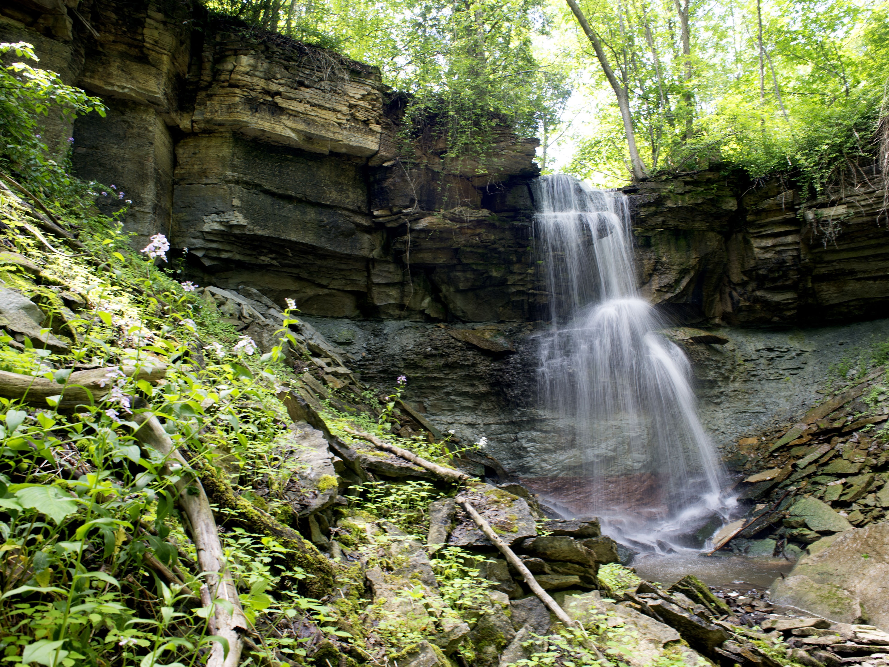 Fall Image of Webwood Falls
