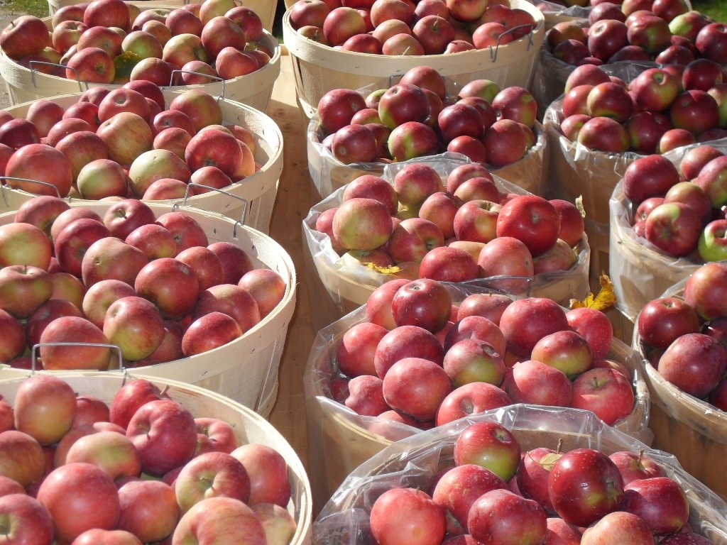 Apple Pie Trail
