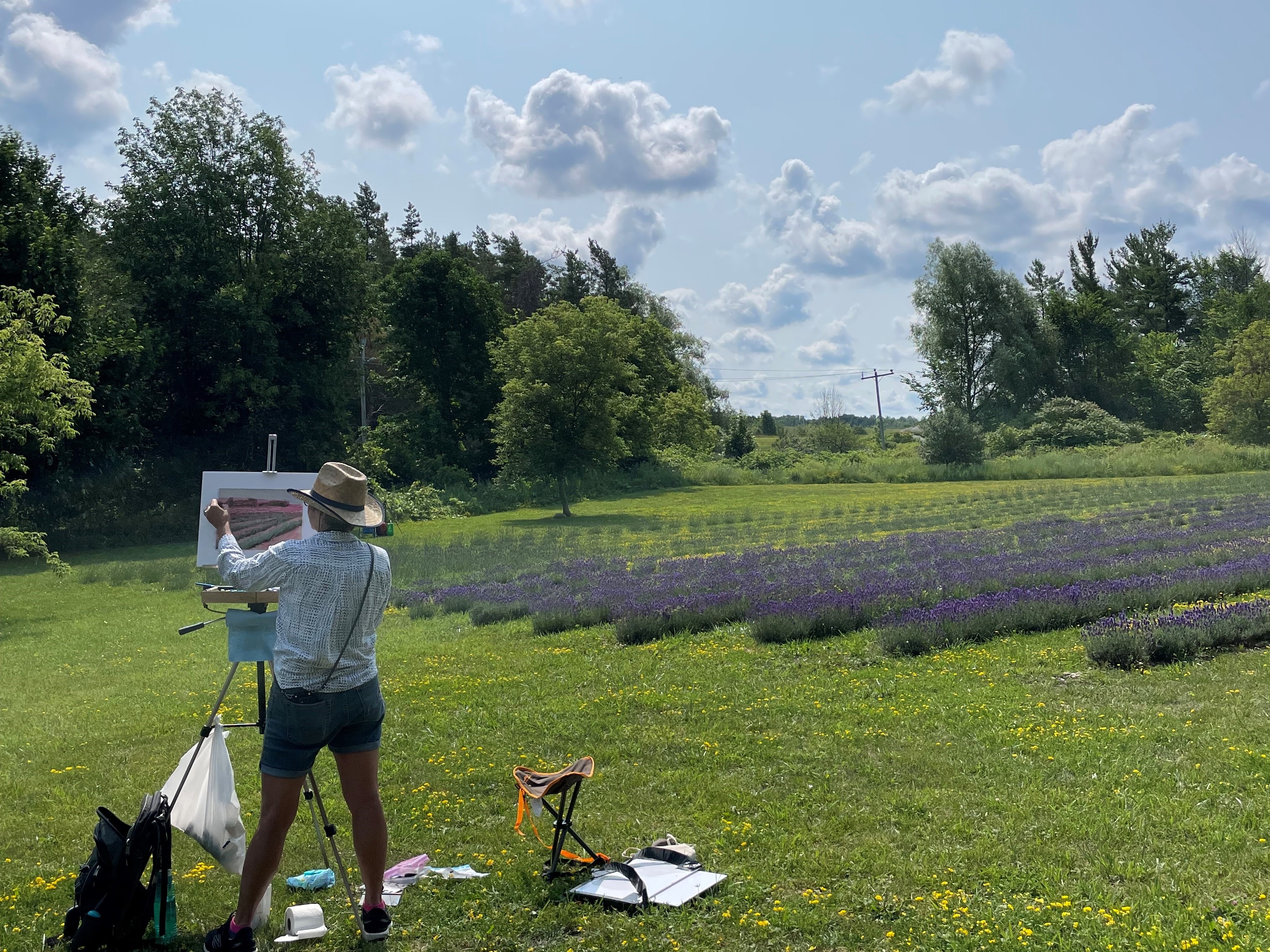 Bluewater Lavender Farm