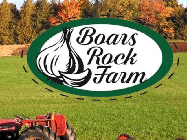 Boars Rock Farm - Logo