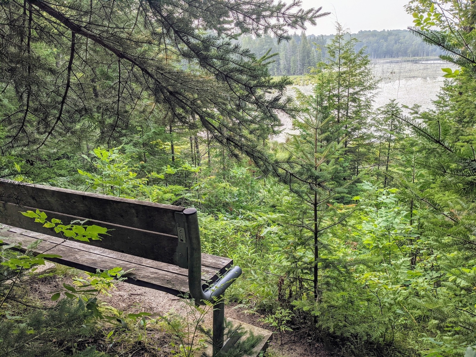 Camp Oliver Lookout