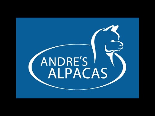 Andres's Alpacas