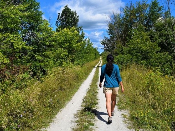 Fossil Glen Nature Reserve: Sydenham Bruce Trail