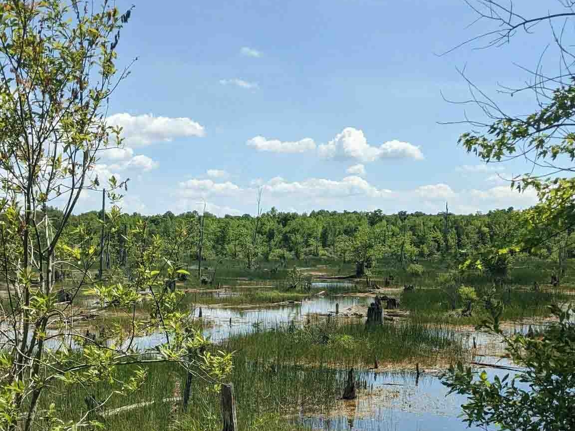 Georgian Bluffs Trail