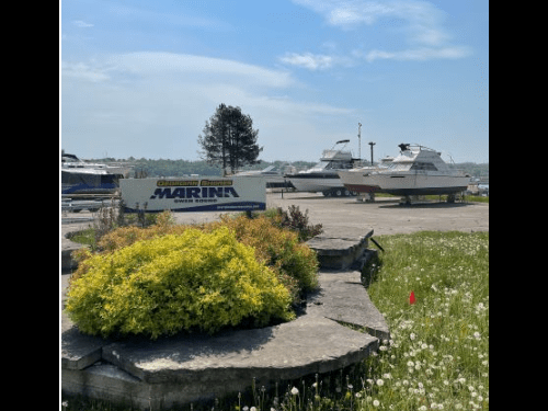 Marina