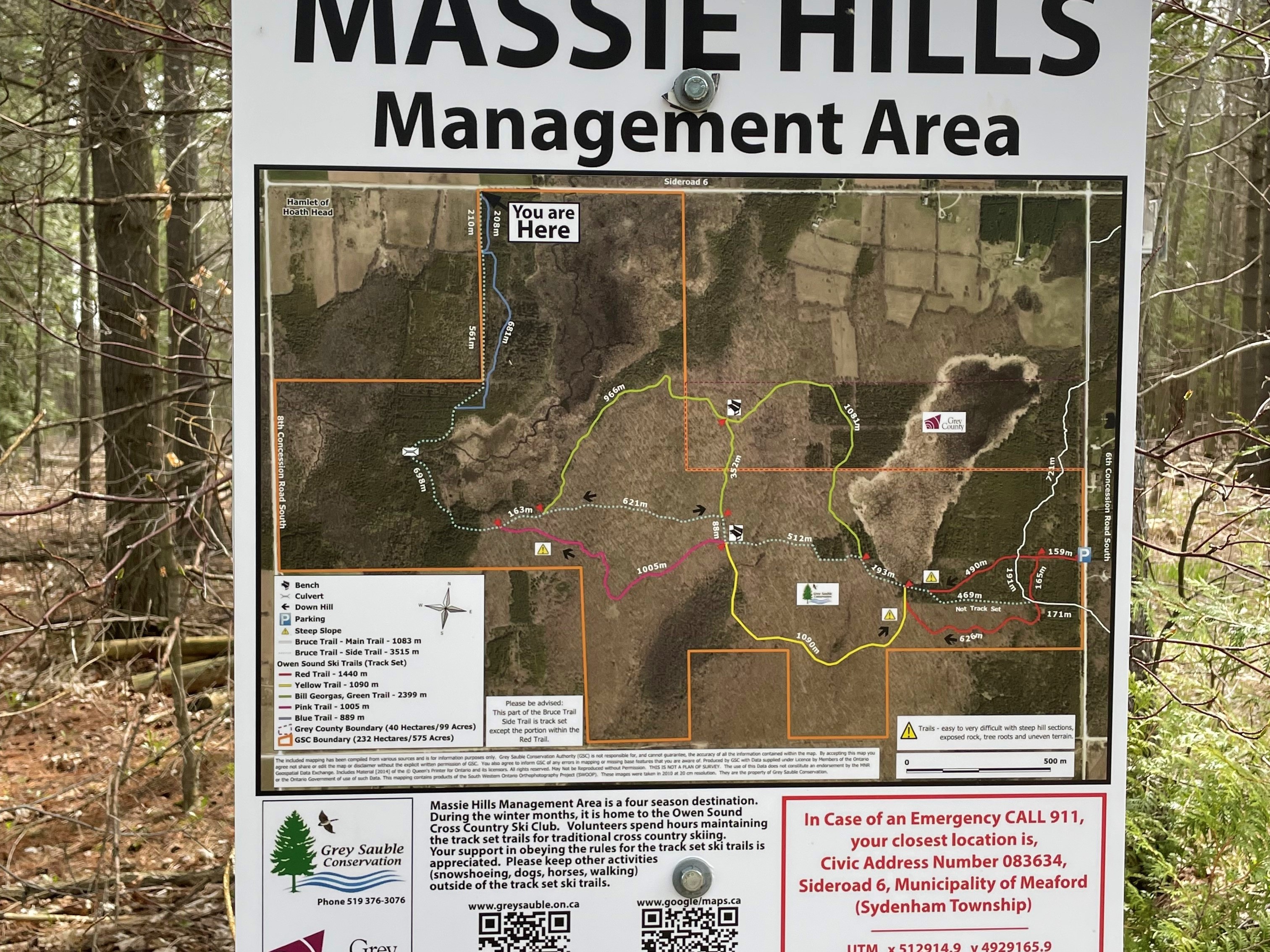Massie - Sign