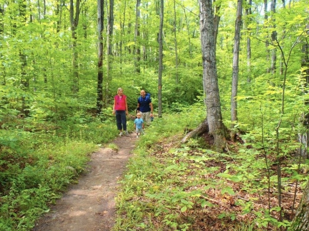 Kolapore