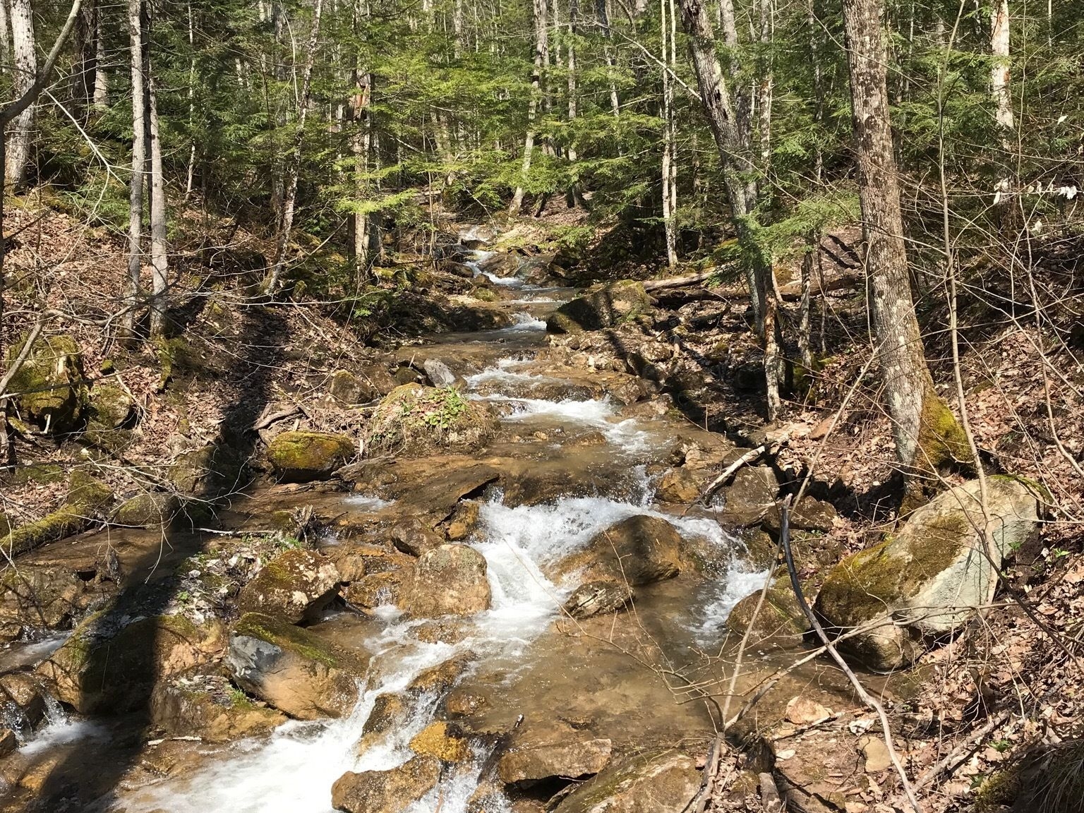 Pretty River Creek