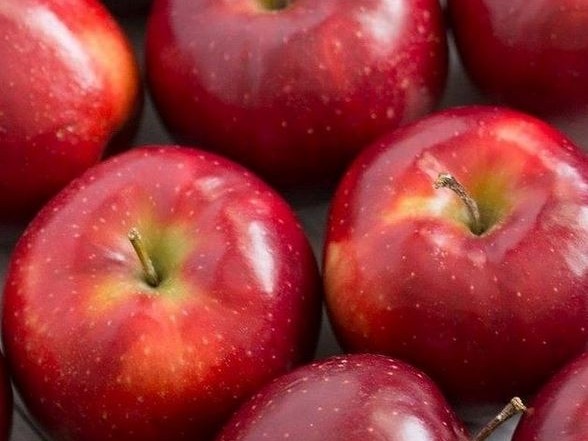 Binkleys Apples (Red Prince Apples)