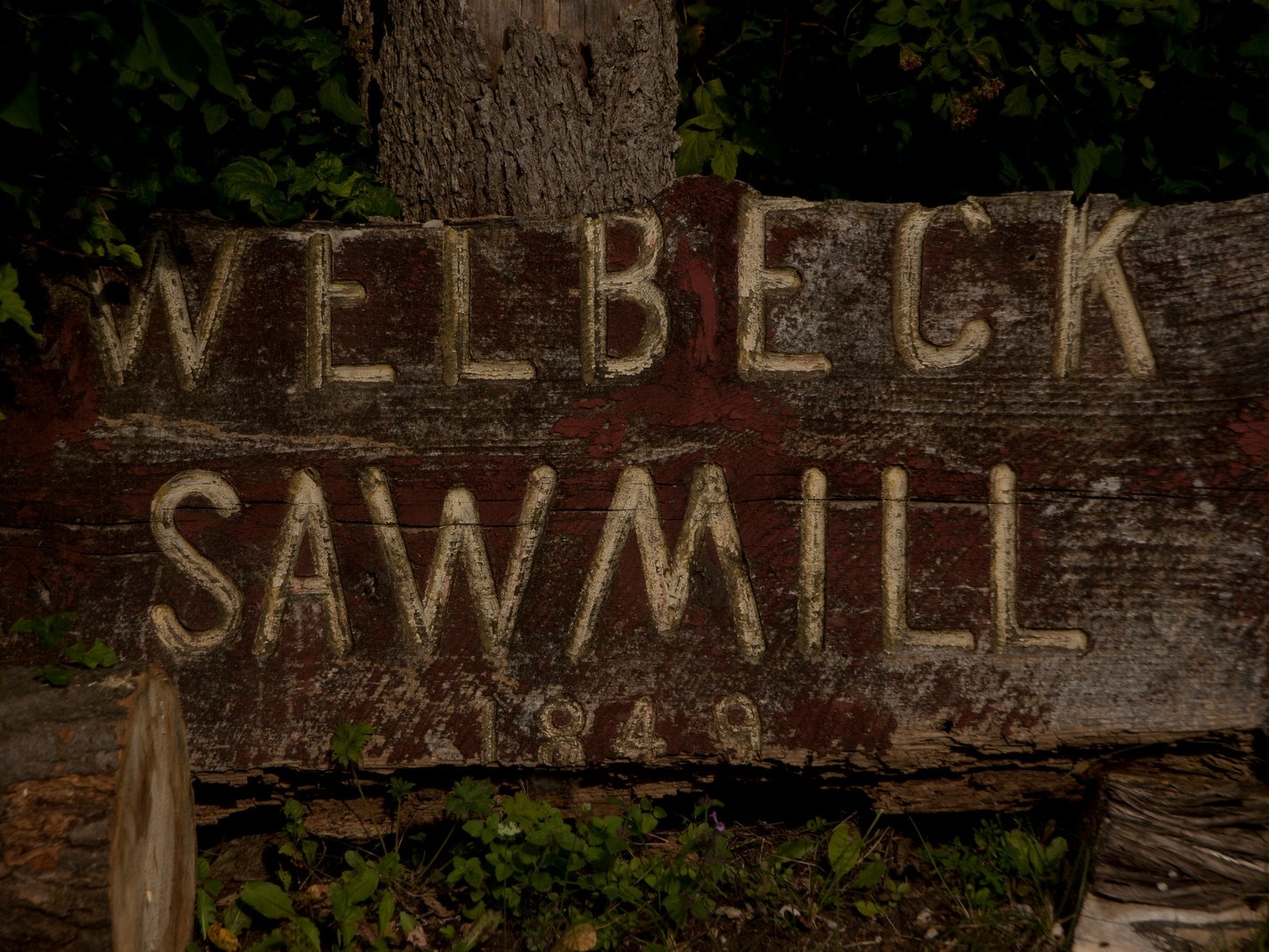 Welbeck Sawmill Ltd.