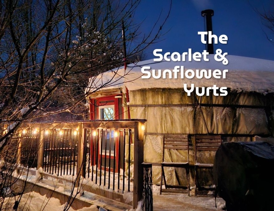 The Scarlet &amp; Sunflower Yurt Cabins
