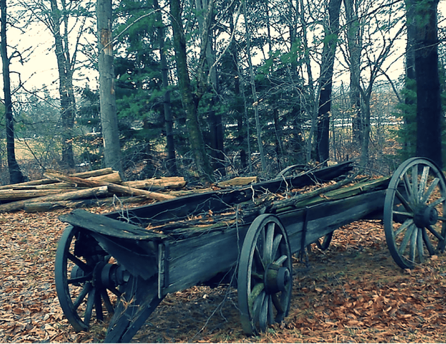 Sheffield Park Black History and Cultural Museum