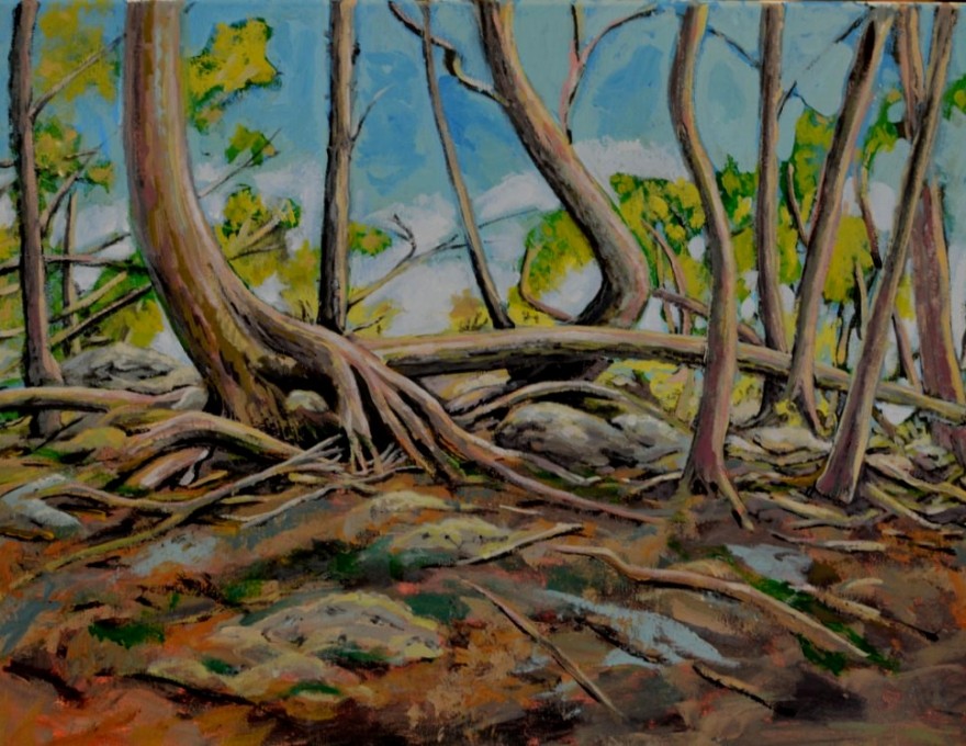 Robert Pointer Studio