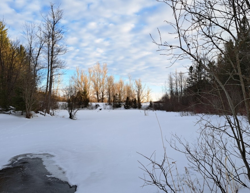 North Welbeck - Trail