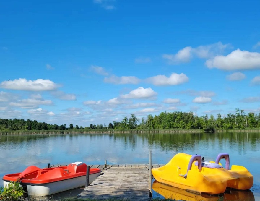 Lake view with paddle boats