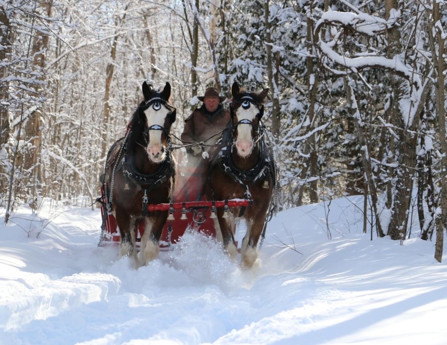 Valley Ridge Family Farm