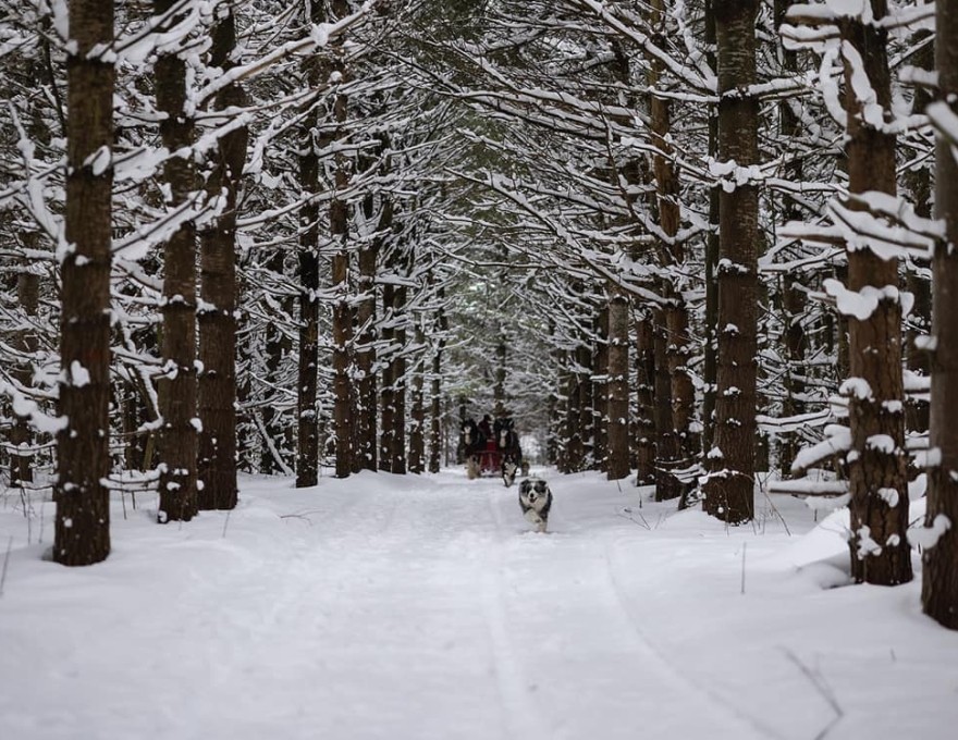 Valley Ridge Family Farm
