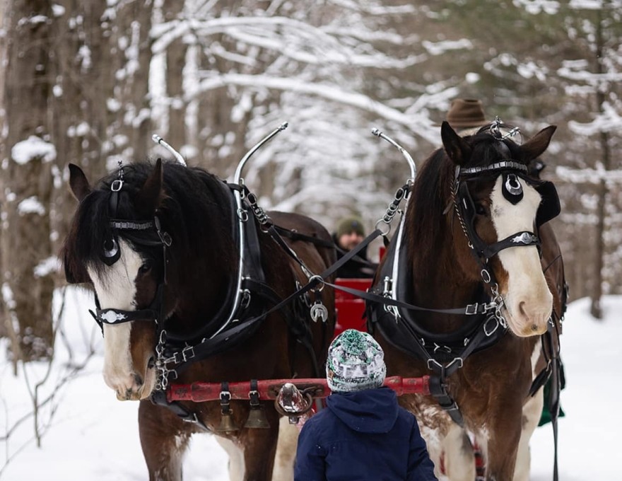 Valley Ridge Family Farm