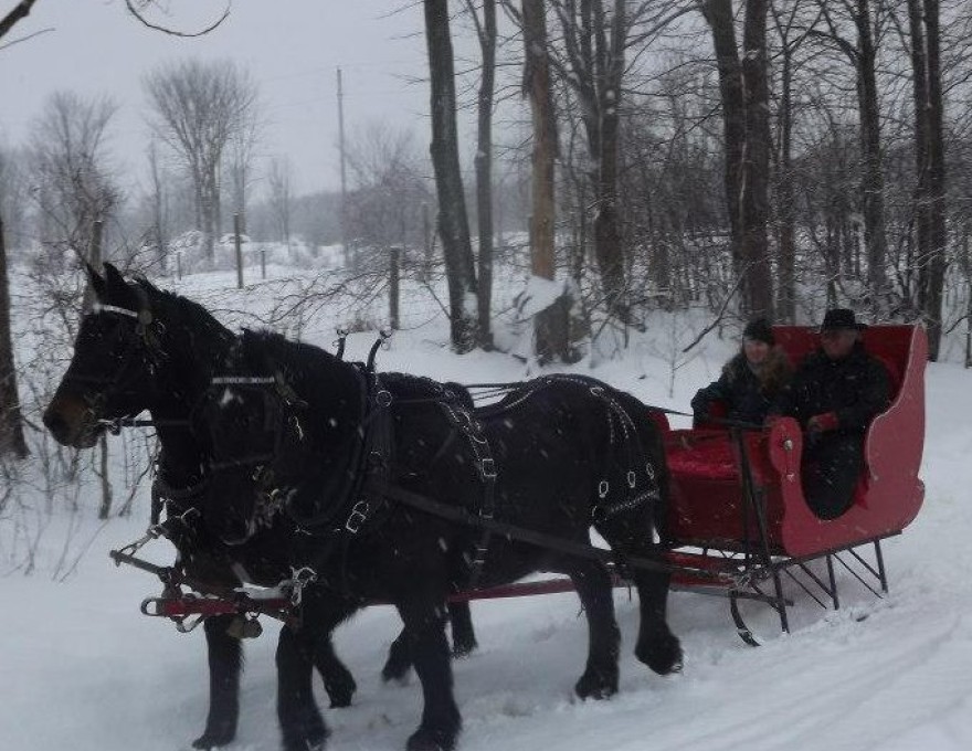 Dual Acres Sleigh Rides