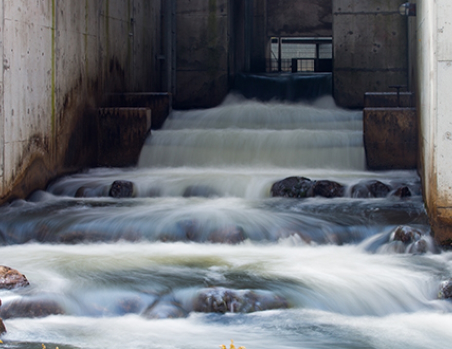 Thornbury Fish Ladder