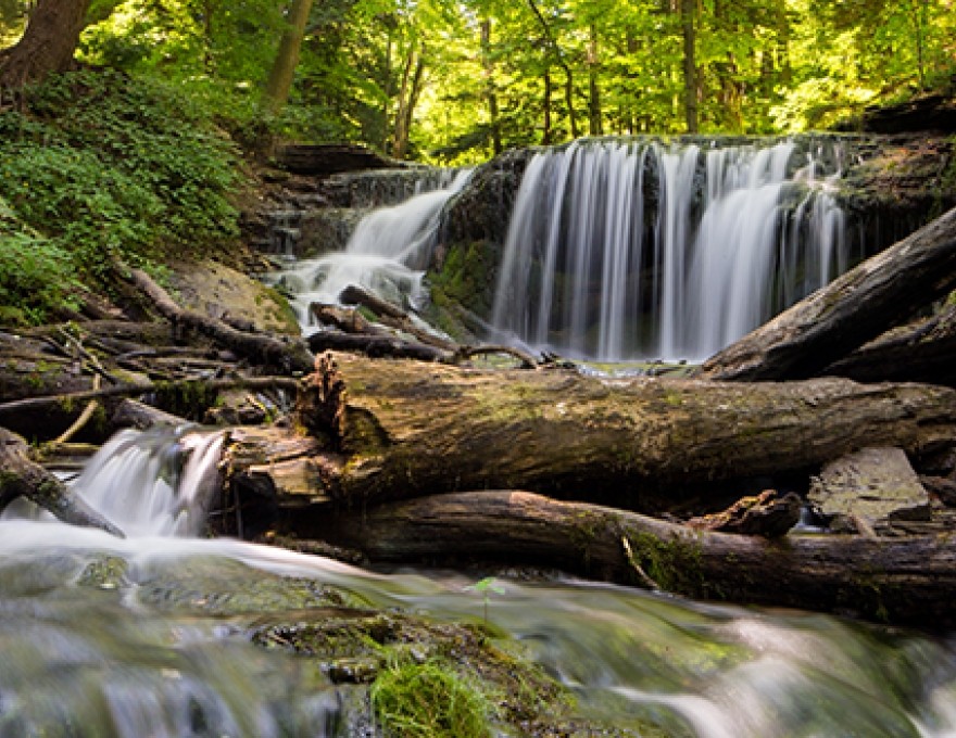 Weavers Creek Falls