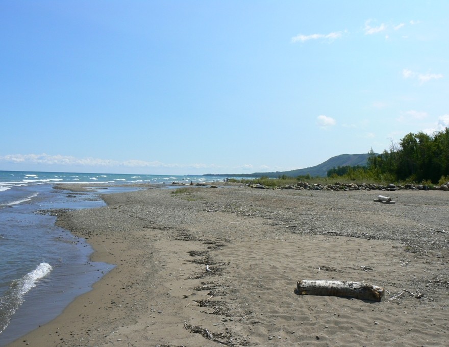 Peasemarsh Nature Reserve