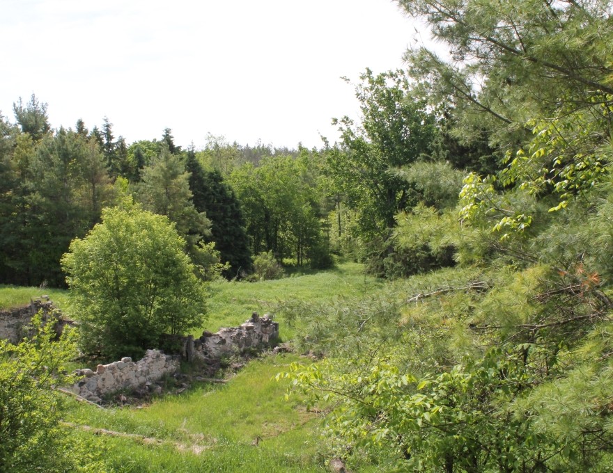 Kinghurst Management Unit