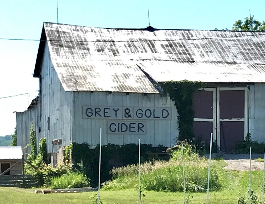 Grey &amp; Gold Cider
