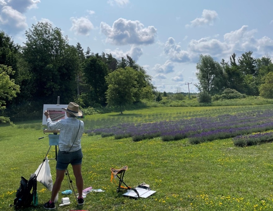 Bluewater Lavender Farm