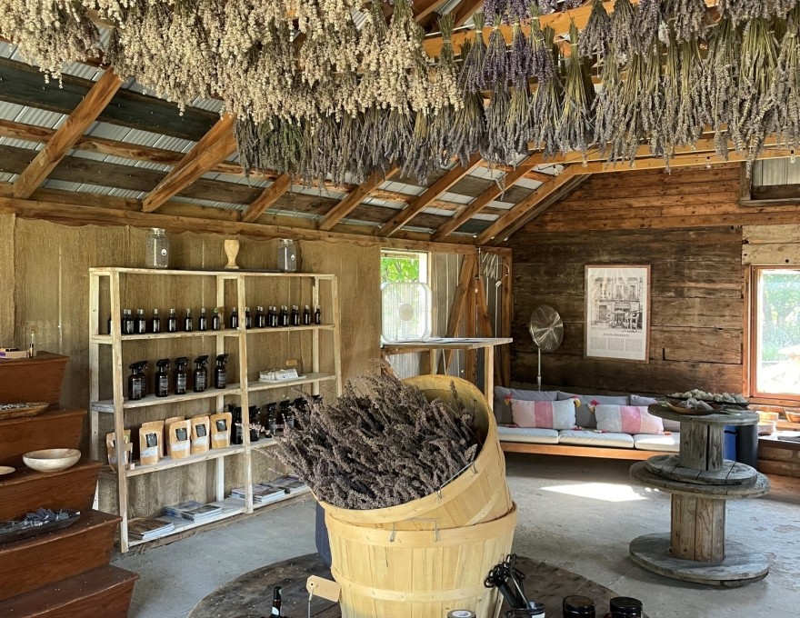 Bluewater Lavender Farm