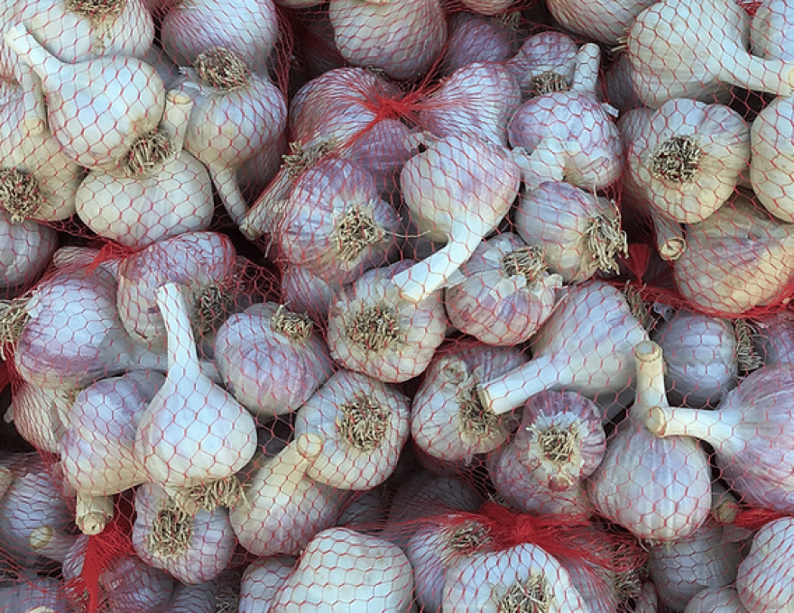Boars Rock Farm - Garlic