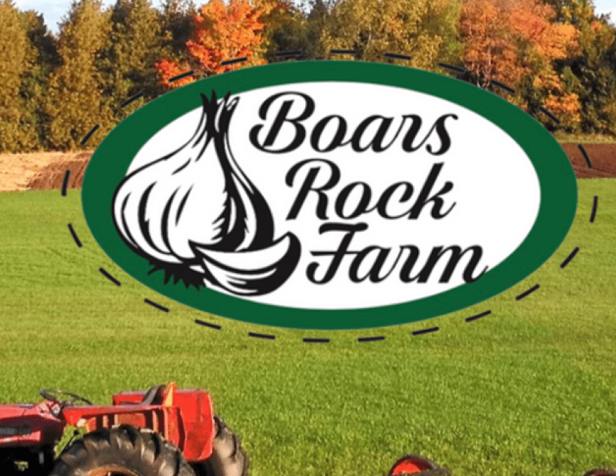 Boars Rock Logo